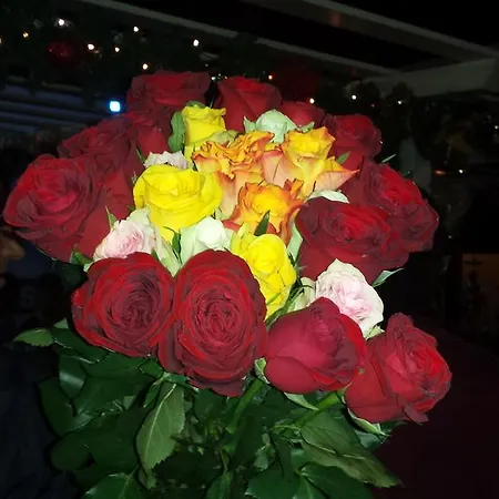 Ai Prati فندق مبيت وإفطار 3*